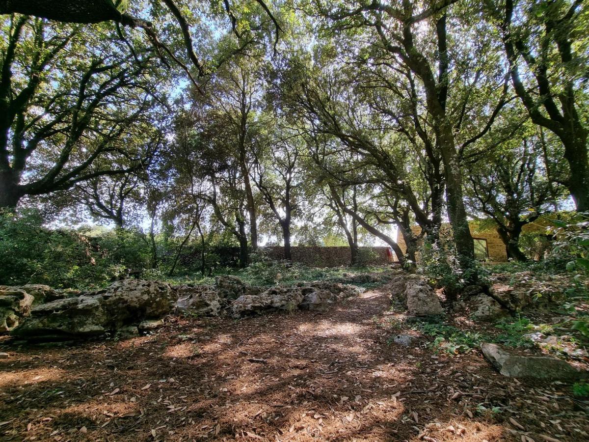 Agriturismo Iazzo Scagno Martina Franca Eksteriør bilde