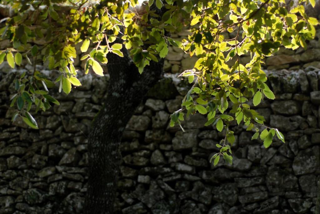 Agriturismo Iazzo Scagno Martina Franca Eksteriør bilde