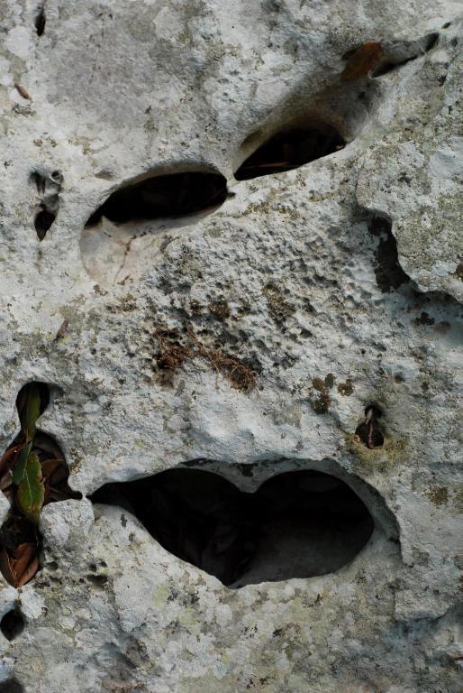 Agriturismo Iazzo Scagno Martina Franca Eksteriør bilde