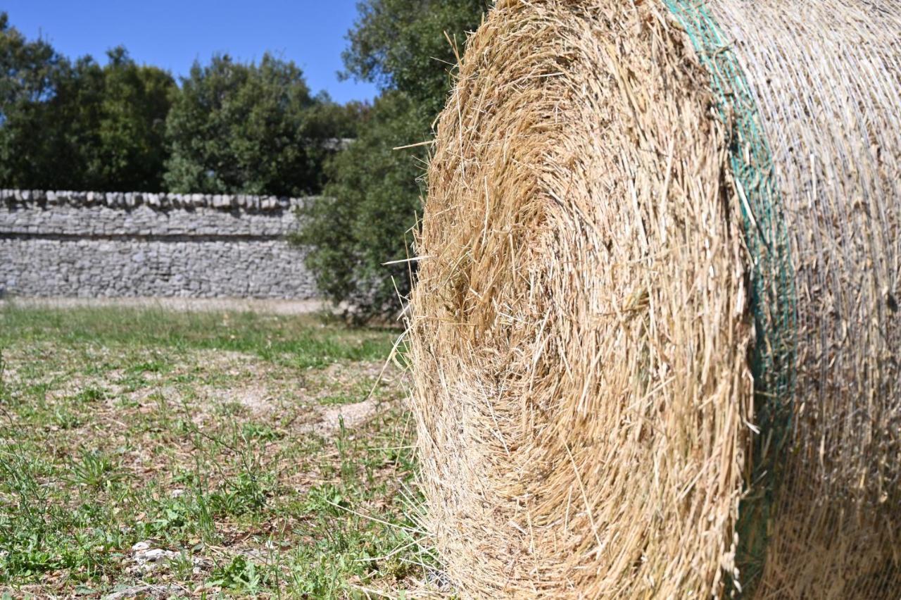 Agriturismo Iazzo Scagno Martina Franca Eksteriør bilde